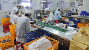 哈丁宝贝赣州工厂&ldquo;透明&rdquo;之旅:产品好不好,用实力来说话